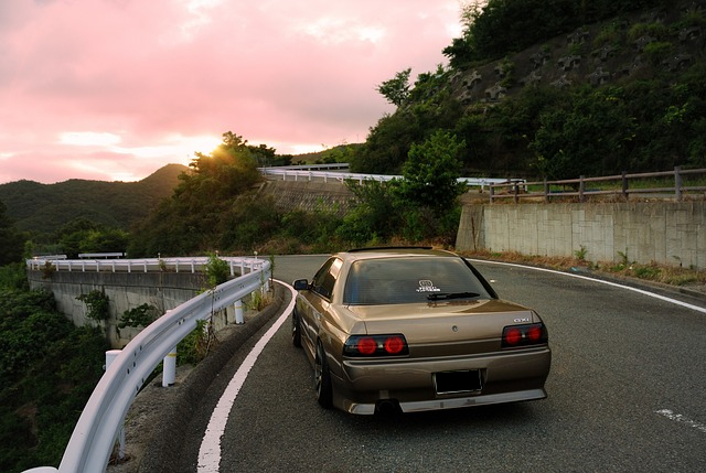 nissan-skyline-cover