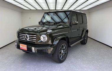 2025 Mercedes Benz G-Class G450D Olive Green