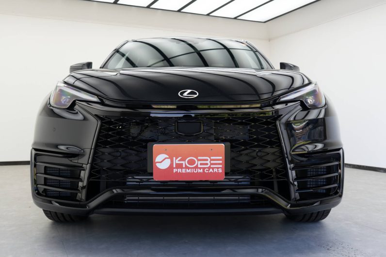 2025 Lexus LBX Morizo RR