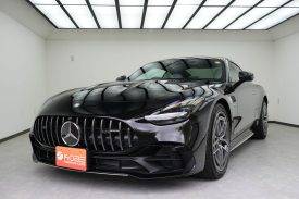 2025 Mercedes Benz GT43