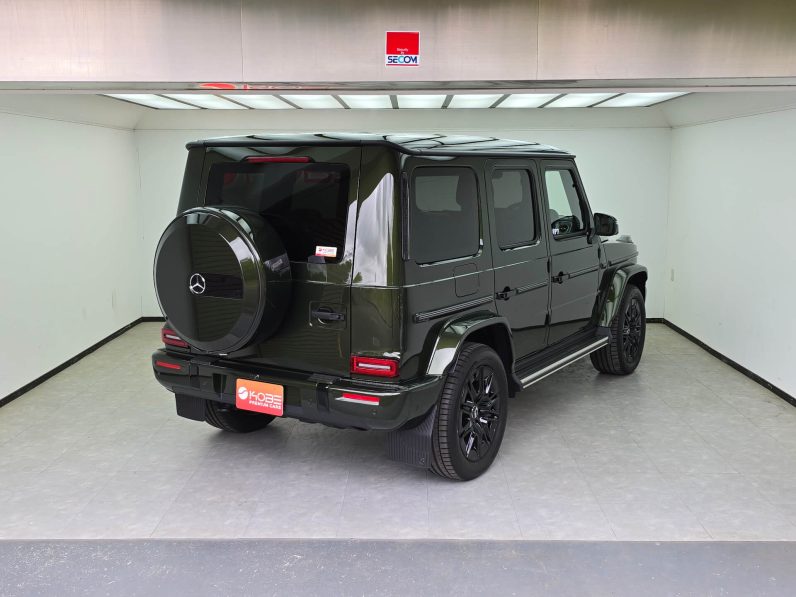 Mercedes Benz G450d